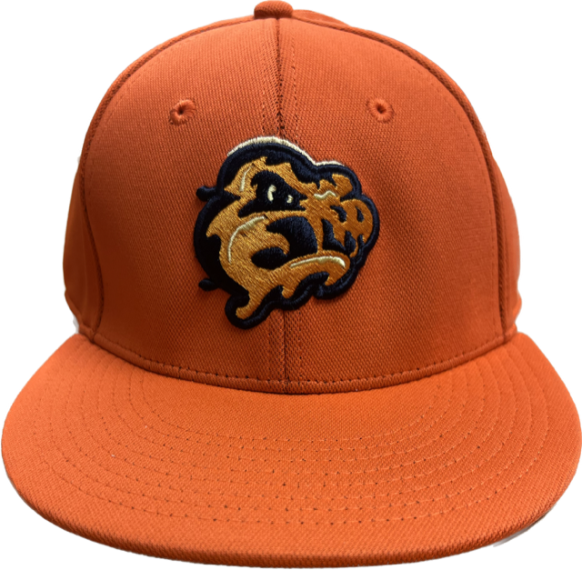 Flex Fit Cheddar Monstahs Hat